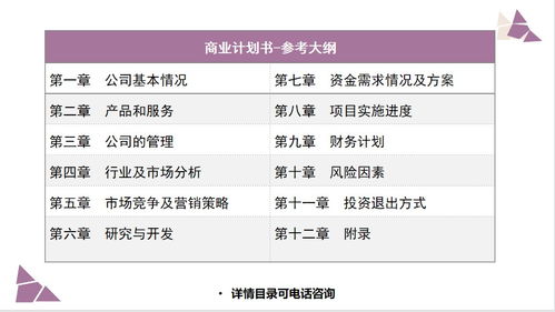 赋能宁德 商业计划书撰写与项目投资咨询服务全解析
